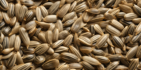 Sunflower Seeds Food, Sunflower Seeds Harvest, sunflower seeds background, A Close Up Of Small Crispy Grains With A Nutritional Punch Background, Generative AI