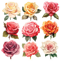 Assorted Roses Watercolou Clipart isolated on white background