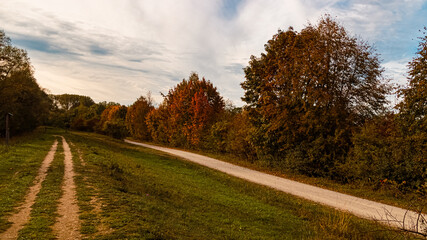 Fototapeta premium Autumn or indian summer view near Zeholfing, Landau, Isar, Dingolfing-Landau, Bavaria, Germany