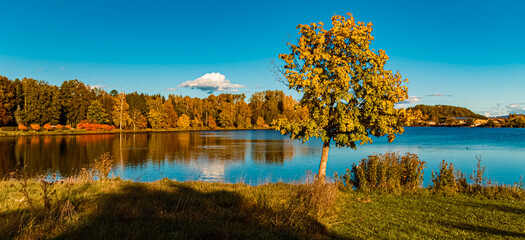 Autumn or indian summer view with reflections in a pond near Plattling, Isar, Deggendorf, Bavaria, Germany
