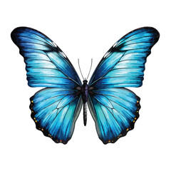 Blue Butterfly Clipart isolated on white background
