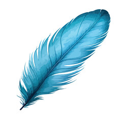 Blue Feather Clipart isolated on white background