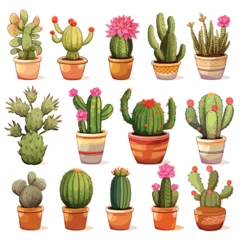 Stickers pour porte Cactus en pot Boho Cacti Clipart Clipart isolated on white background