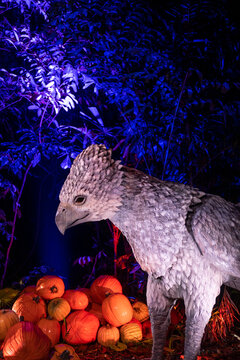 Singapore - 7 March 2024: Buckbeak at Harry Potter Forbidden forest experience at Siloso Point, Coastal Trail, Sentosa. It is outdoor trail with Lighting and Interactive Magic