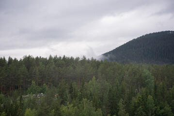 Norwegian mountain landscape with fog on a wet rainy autumn day.