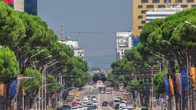 Traffic on the Deshmoret e Kombit Boulevard in Tirana timelapse. Main street in Albanian capital surrounded by green trees close up view. Cars moving and stops on intersections with a traffic light