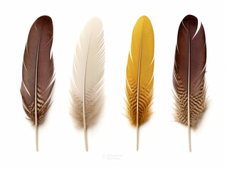 feather collection set isolated on transparent background, transparency image, removed background