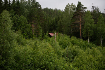 wooden house with a red roof in a forest with green trees.