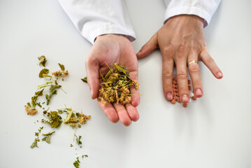 Choosing between natural medicine and synthetic, doctor's hands holding herbs and pills