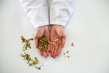 Choosing between natural medicine and synthetic, doctor's hands holding herbs and pills