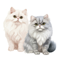 Chinchilla Persian Cats Clipart isolated on white