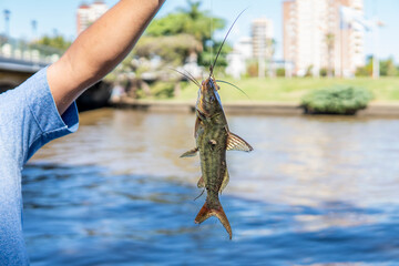 A person is holding a fish in their hand