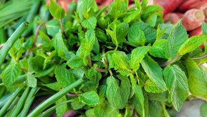 Bunch of fresh green mint