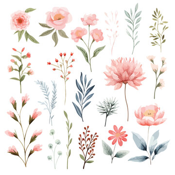 Delicate Florals Clipart isolated on white background