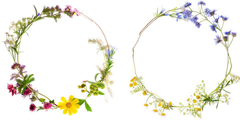 set of wreath frame made with wild flowers isolated on transparent background © PixeloAI