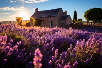 Fotobehang A house stands in a field of purple lavender flowers under a cloudy sky © JackDong