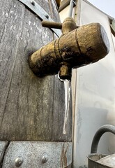Old wine barrel used as rain barrel in a garden.