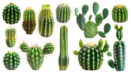 Zelfklevend behang Cactus Set of cactus isolated on transparent background