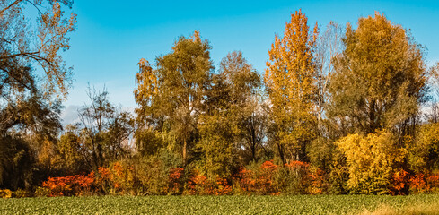 Fototapeta premium Autumn or indian summer view near Breitfeld, Deggendorf, Bavaria, Germany
