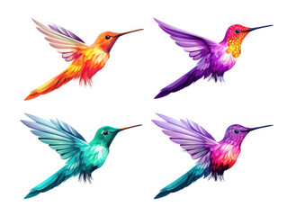 Hummingbird collection set isolated on transparent background, transparency image, removed background