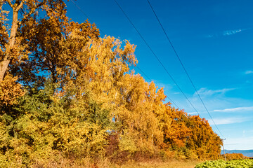 Autumn or indian summer view near Neutiefenweg, Deggendorf, Bavaria, Germany