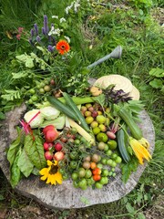 Bird bath in garden filled with natural foods like fruits and vegetables