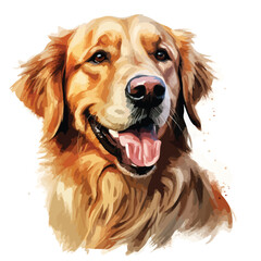 Golden Retriever Clipart isolated on white background