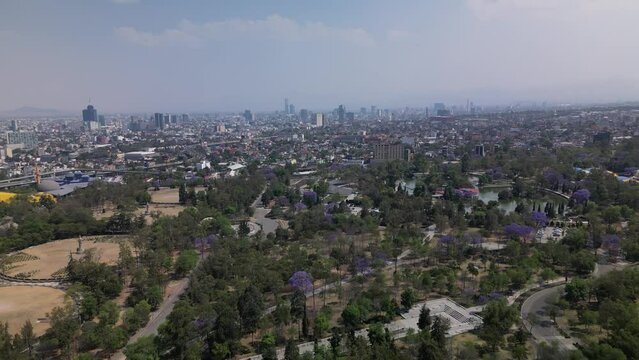 Aerial view of Chapultepec park landscape with lots of trees and the buildings of Mexico City