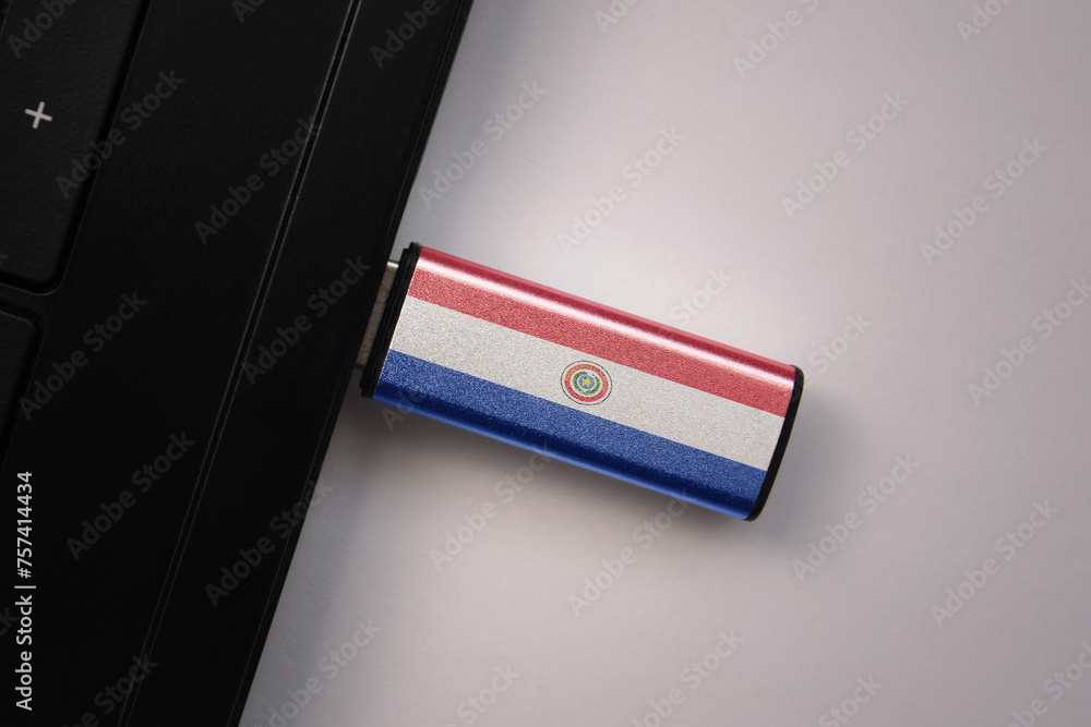 Wall mural usb flash drive in notebook computer with the national flag of paraguay on gray background. - Wall murals