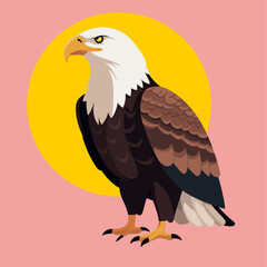 bald eagle flat vector