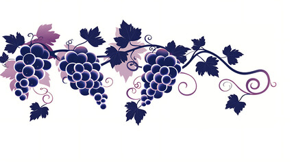 Elegant Grapevine Illustration - grape clusters hanging from a vine, white background