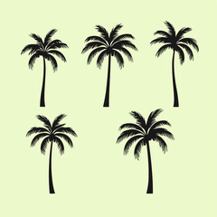 palm tree silhouette set flat