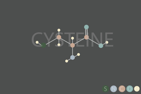 cysteine molecular skeletal chemical formula	
