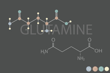  glutamine molecular skeletal chemical formula	

