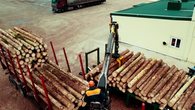 A worker using a loader loads tree trunks into a truck. Loading sawn wood at a woodworking plant. Shooting from the air.