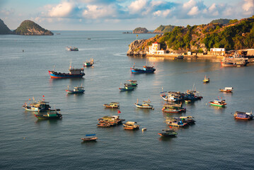 Sea bay in Vietnam with fishing boats. View from above