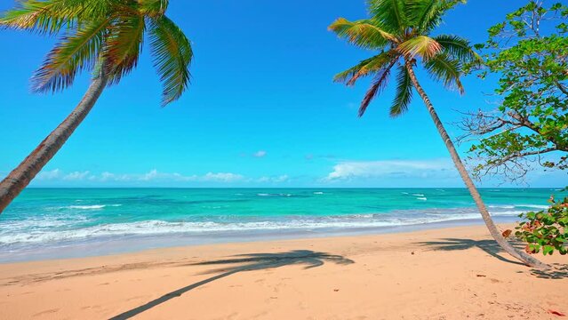 Calm turquoise ocean surface off an idyllic sandy tropical island beach with lush palm trees. Bright nature of the sea coast. Landscape of the picturesque One Foot Island. Palm tree shadow on the sand