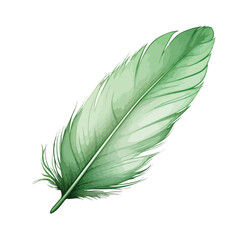 Pale Green Feather Clipart isolated on white background