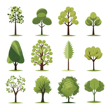 Collection of Stylized Green Tree Illustrations for Nature Design