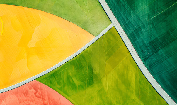 Colorful Abstract Basketball Court with Pie Chart Design
