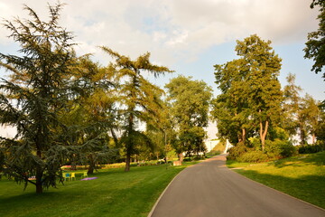 Obraz premium Bäume im Park