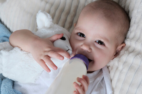 A child drinks milk from a baby bottle. The white lamb cuddles the toy. Baby girl, top view, in white clothes, European appearance. Nutrition, choice of natural or artificial feeding.