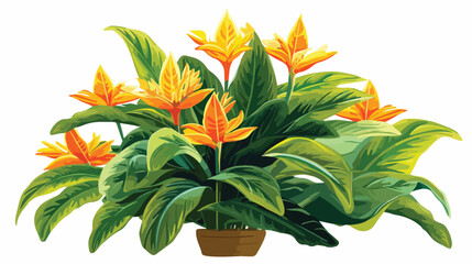 Fototapeta na wymiar Beautiful Aphelandra plant digital painting .. flat