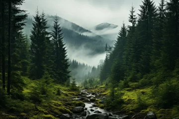  A water stream flows through a forest with mountains in the background © JackDong