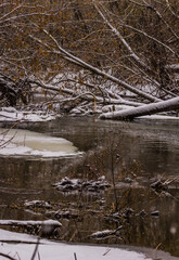winter river in the wild