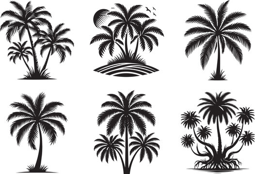 Palm tree silhouette vector illustration set