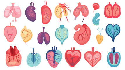 cartoon human internal organs brain heart liver lung