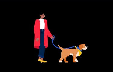 2D Animated Happy Black Woman In Red Dress Walking With Orange Tail Wagging Dog With Yellow Scarf In Transparent Background.