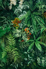 Fotobehang Tropisch Close up group of background green leaves texture and Abstract Nature Background. Lush Foliage Textures. Exotic Greenery and Botanical Patterns..  © NewSaetiew