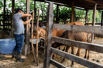 Farmer repairing the fence of a ranch with dairy cows